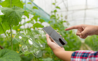 all-in-one ecommerce solution