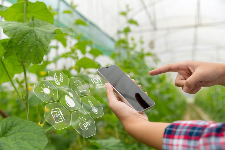 all-in-one ecommerce solution